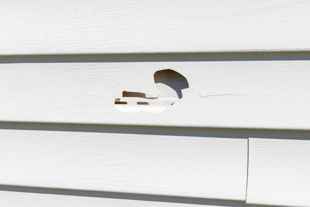 Best Wood Siding Installation  in Alpha, NJ