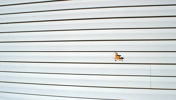 Best James Hardie Siding  in Alpha, NJ