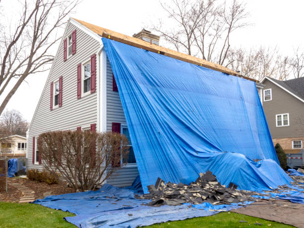Best Historical Building Siding Restoration  in Alpha, NJ